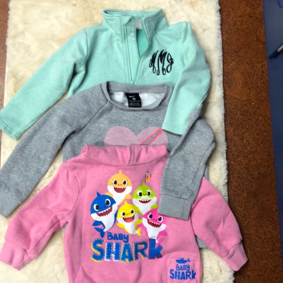 Bundle of 3 sweatshirts size 2 T - Picture 1 of 9